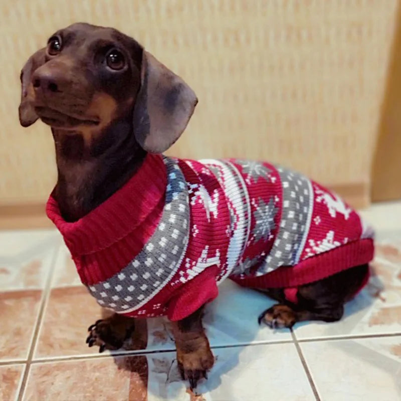DOG  SWEATER 1.0