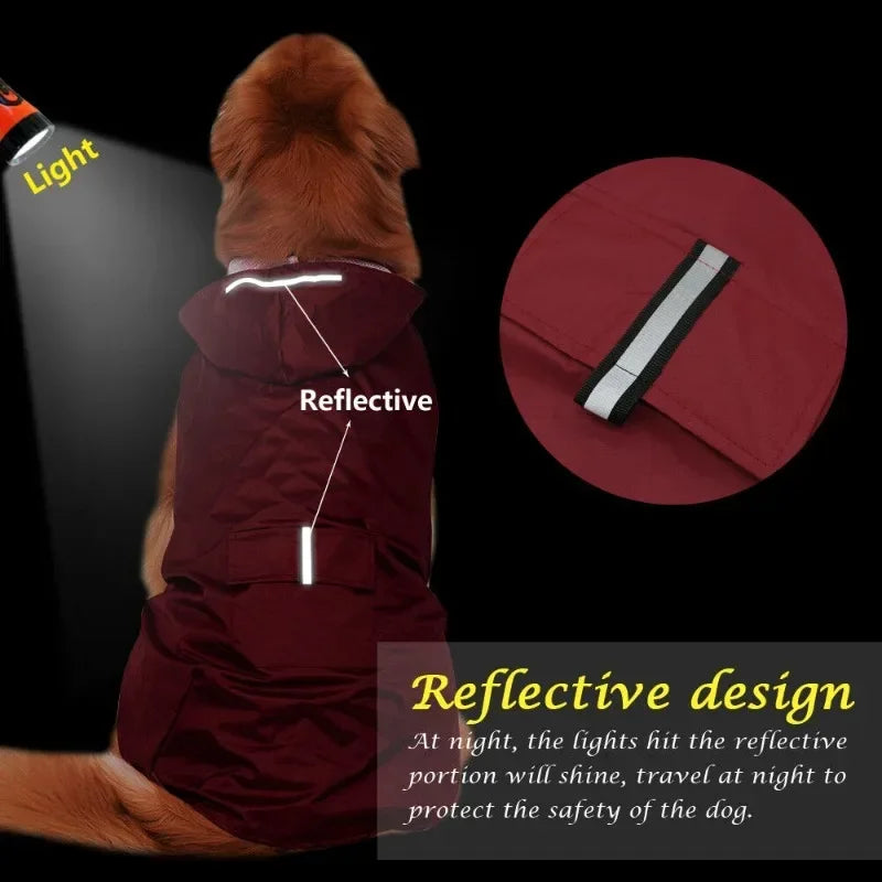 DOG RAINCOAT 2.0