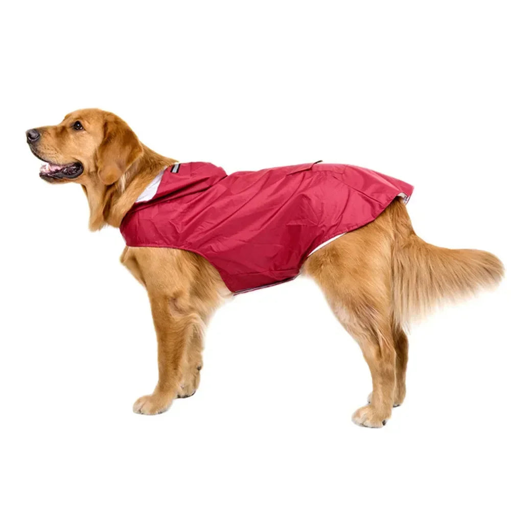 DOG RAINCOAT 2.0