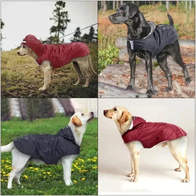 DOG RAINCOAT 2.0