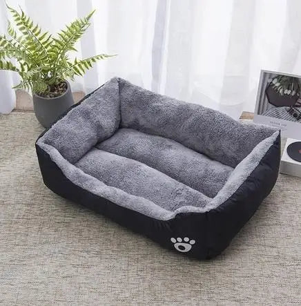 Cuccia Comfort