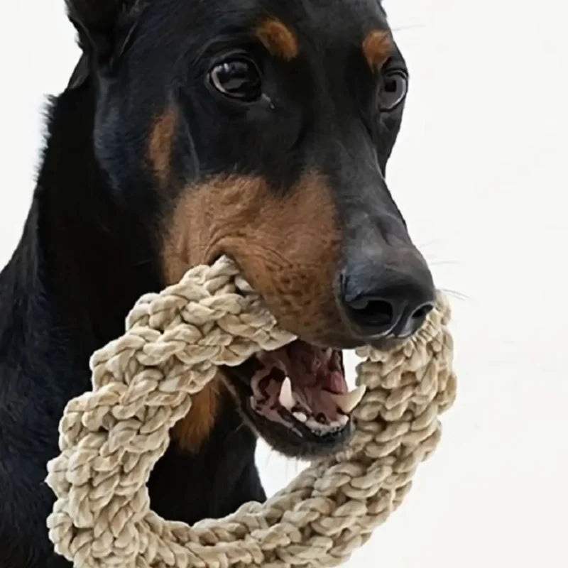 TOY ROPE 2.0