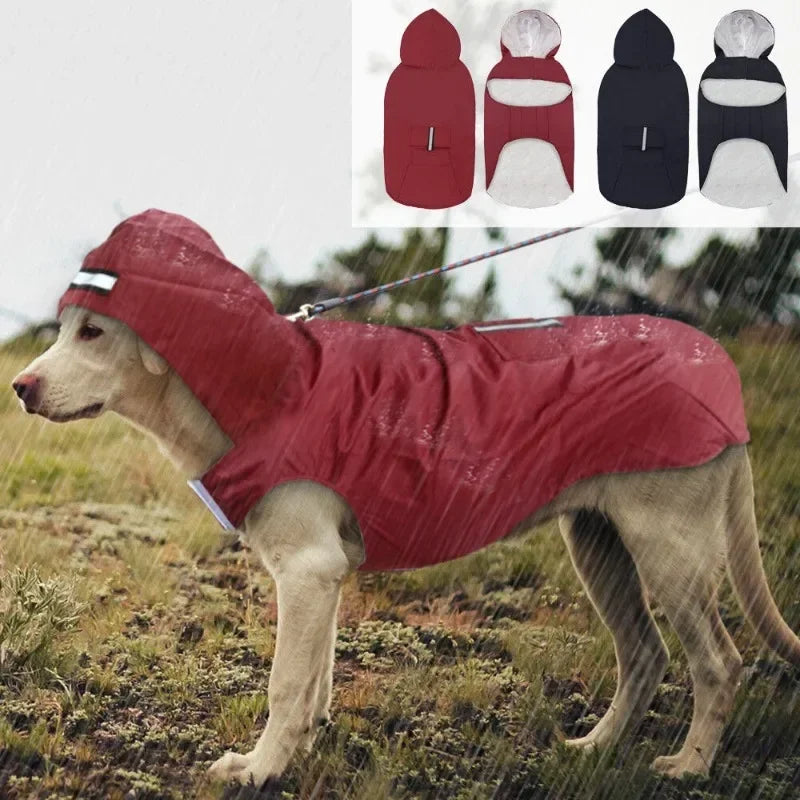 DOG RAINCOAT 2.0