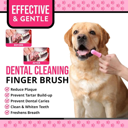 DOG TOOTHBRUSH 1.0