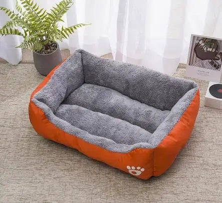 Cuccia Comfort