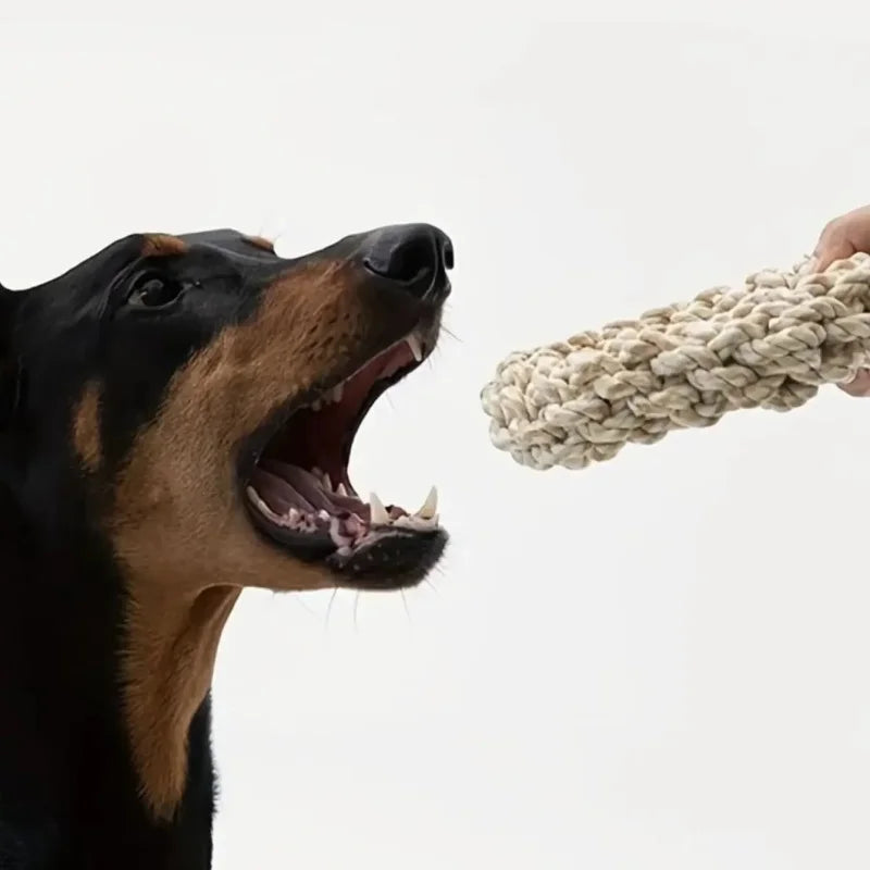 TOY ROPE 2.0