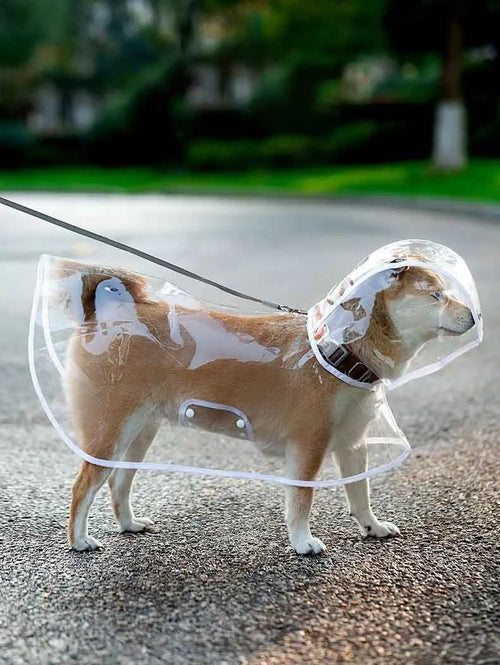 DOG RAINCOAT 1.0