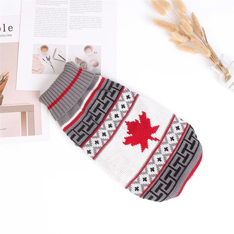 DOG  SWEATER 1.0